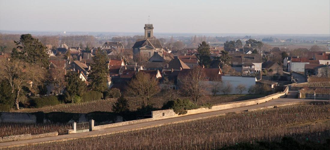Bed and Breakfast Domaine VIOLOT-GUILLEMARD Pommard Exterior foto